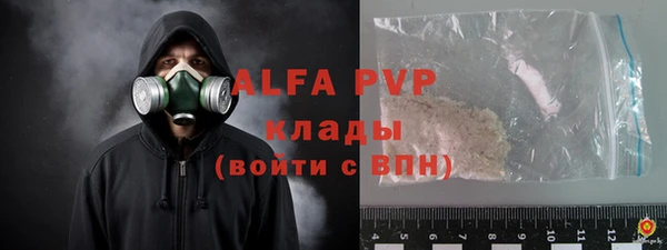 ПСИЛОЦИБИНОВЫЕ ГРИБЫ Инта