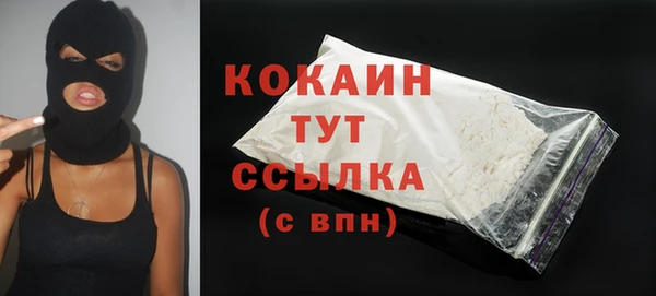 скорость Каменка