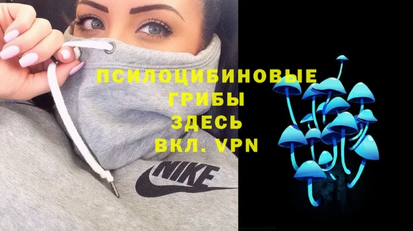 ПСИЛОЦИБИНОВЫЕ ГРИБЫ Инта
