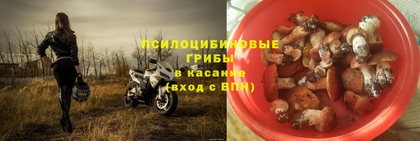 ПСИЛОЦИБИНОВЫЕ ГРИБЫ Инта
