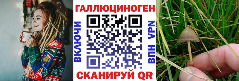 Купить закладки  Заинск  Псилоцибиновые грибы ЛСД 